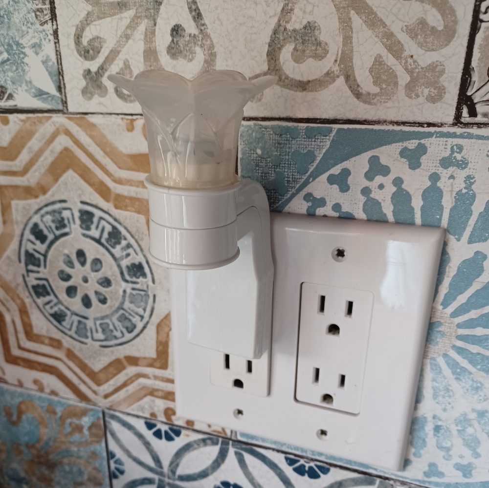 Wallflowers plug in adapter
